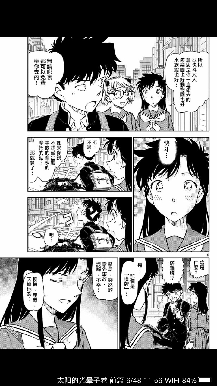 铁锈与蔷薇